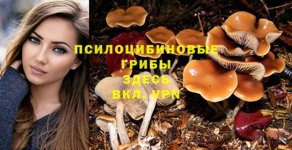 мескалин Арсеньев