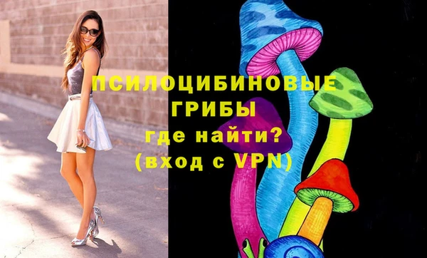 метадон Аркадак