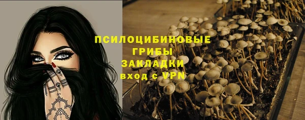 мескалин Арсеньев