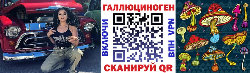 Псилоцибиновые грибы мицелий  Черкесск 
