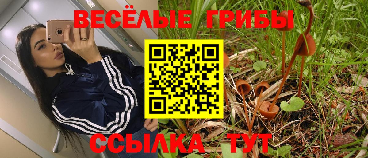 Галлюциногенные грибы MAGIC MUSHROOMS Черкесск